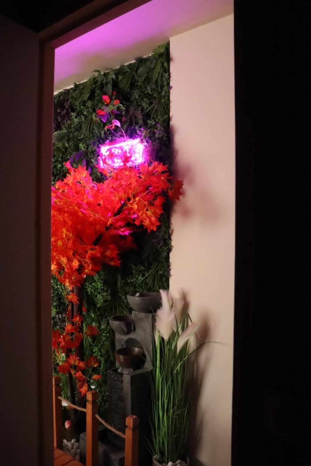 Loveroom Japon Avec Balneotherapie Тулон Екстер'єр фото