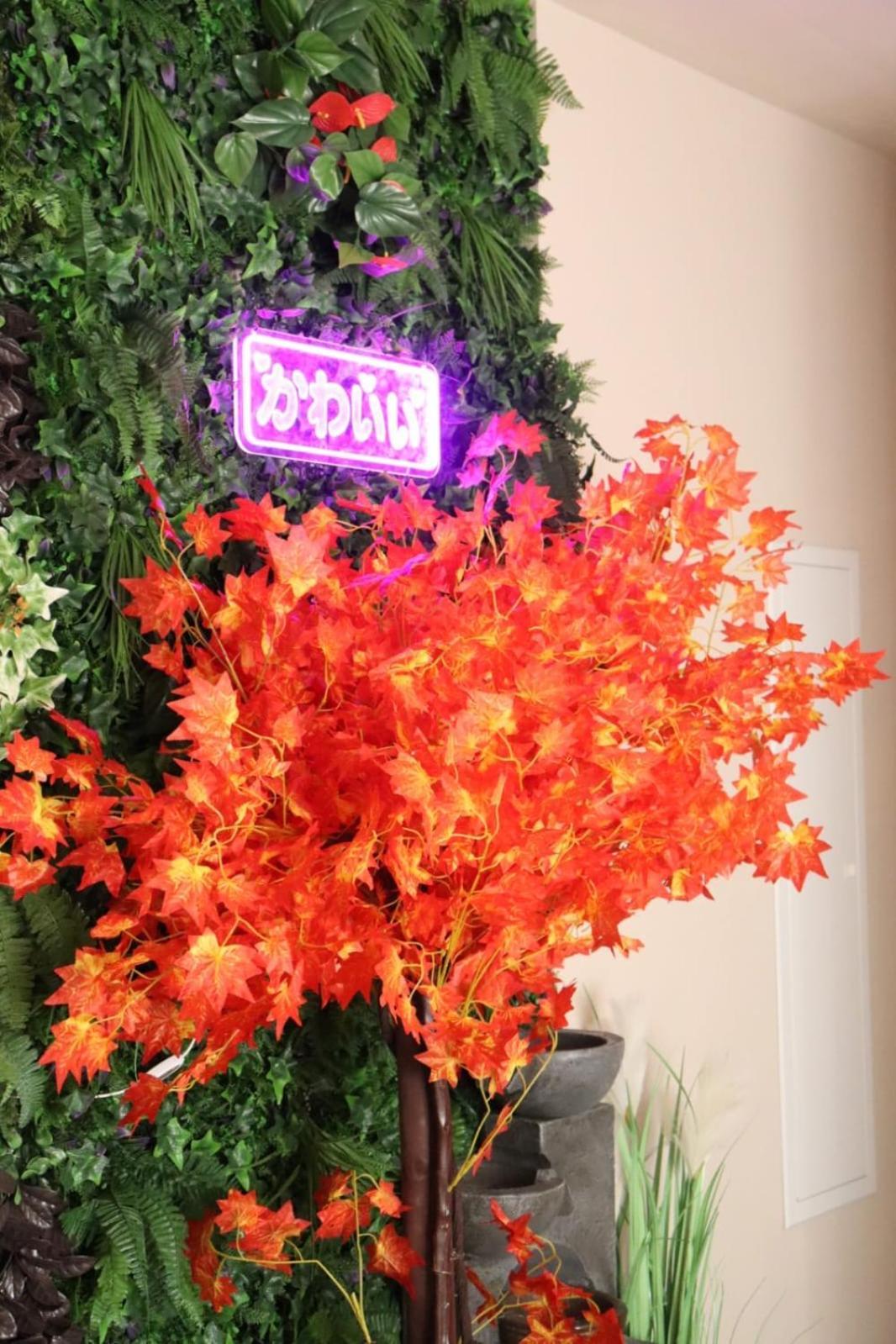 Loveroom Japon Avec Balneotherapie Тулон Екстер'єр фото